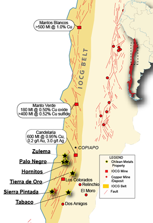 Chilean Metals Projects